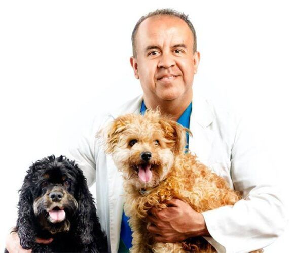 dog nutritionist veterinary expert in pet nutrition dogs and cats