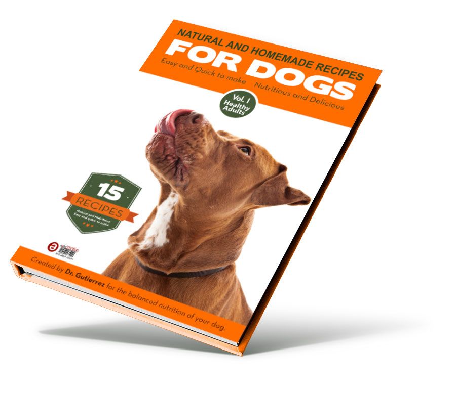 dog-recipes-book