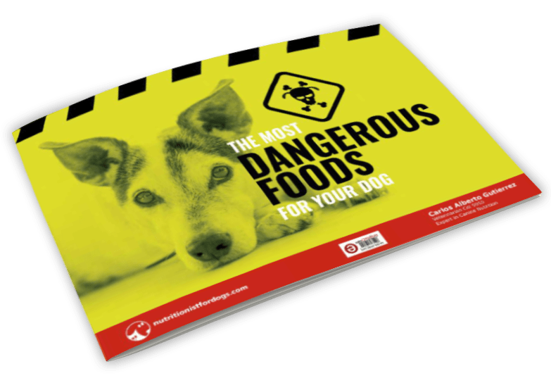 most-dangerous-food