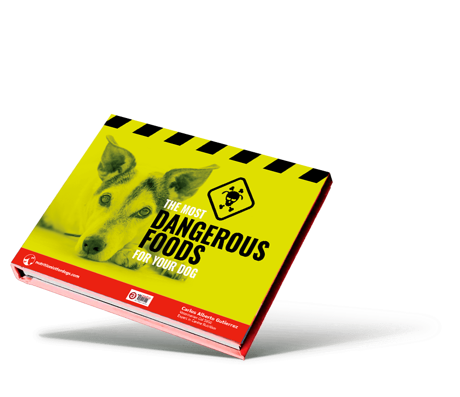 portada-most-dangerous-food